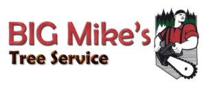 big mike logo2_edited
